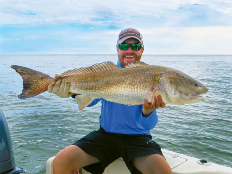 Summer Guide: Fish