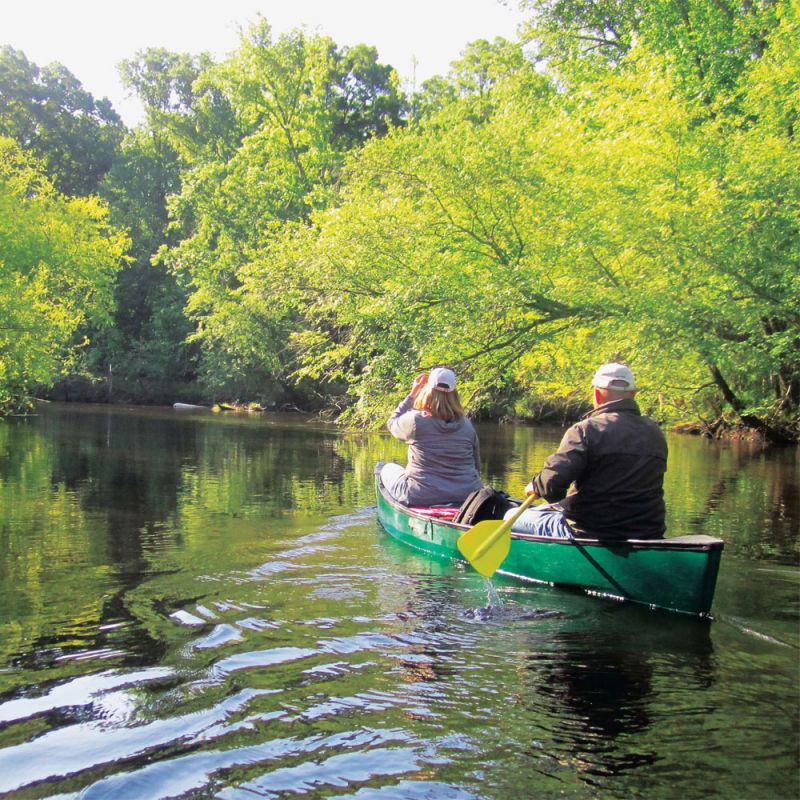 Summer Guide: Float