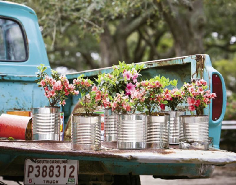 Florabundance