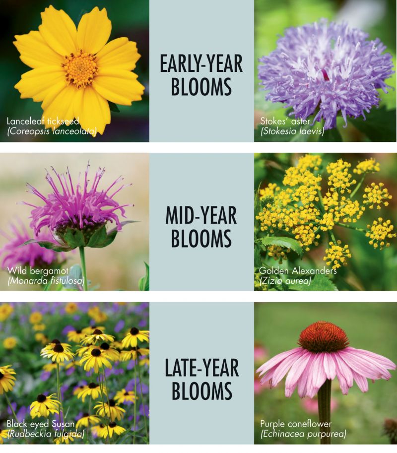 Bee Beneficial