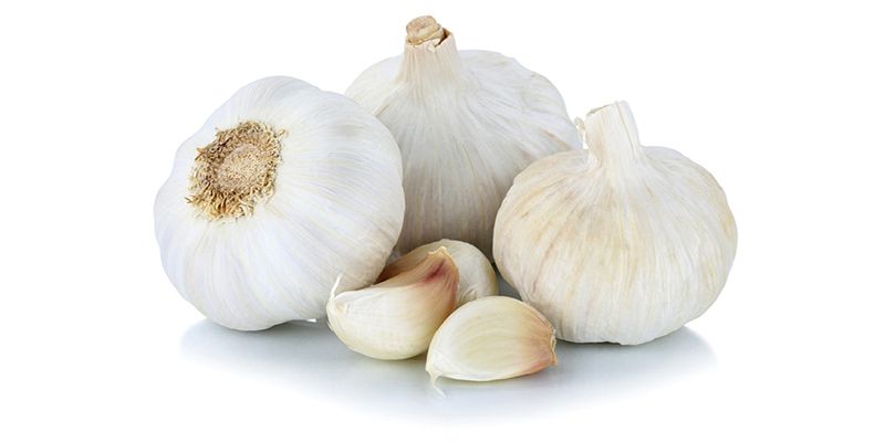 Gardening: October 2017