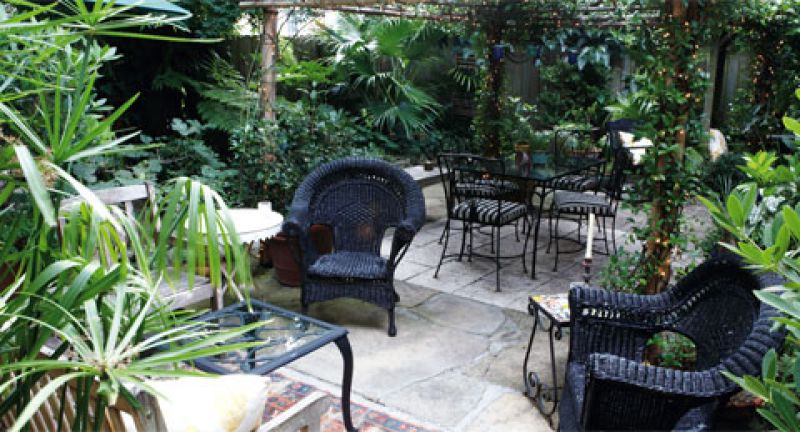 West Ashley: Backyard sanctuary from "rescue plants"