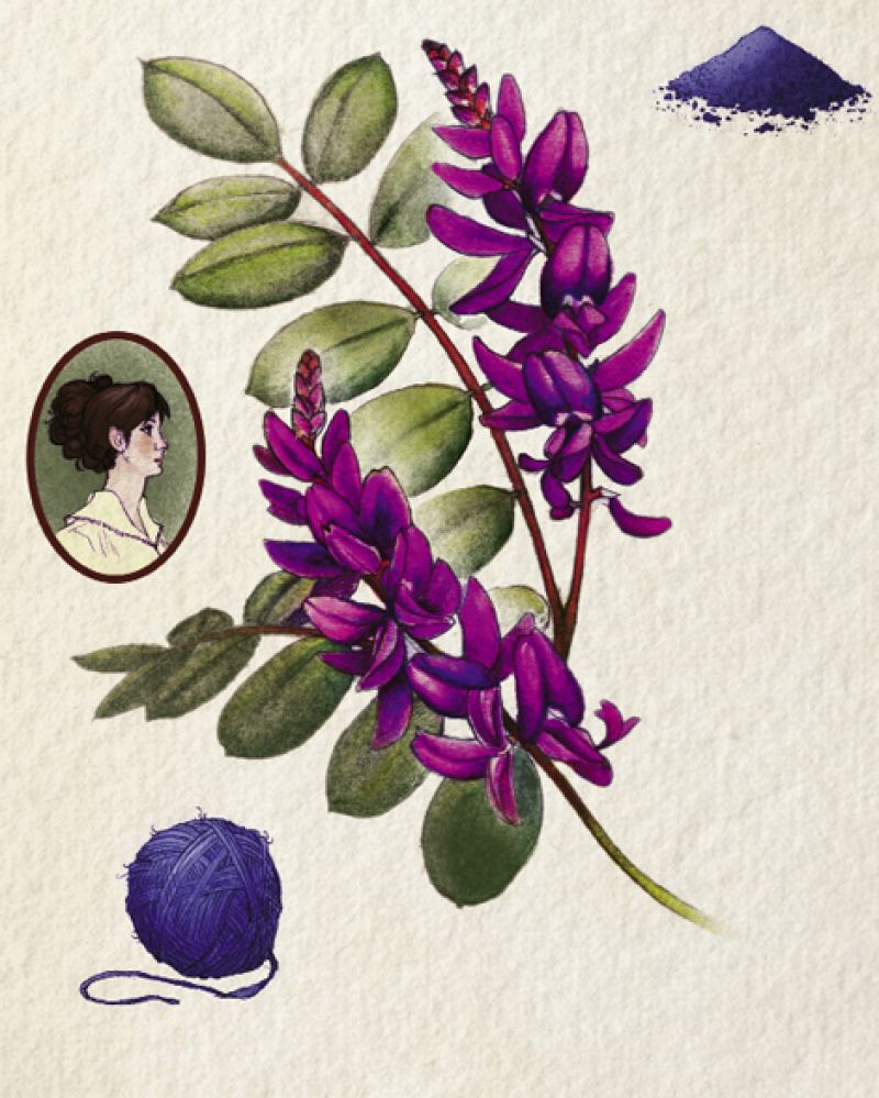 Indigo