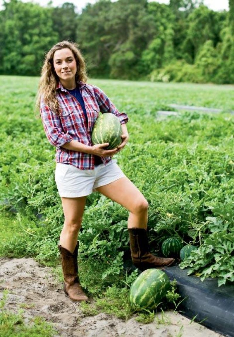 Midsummer's Melon