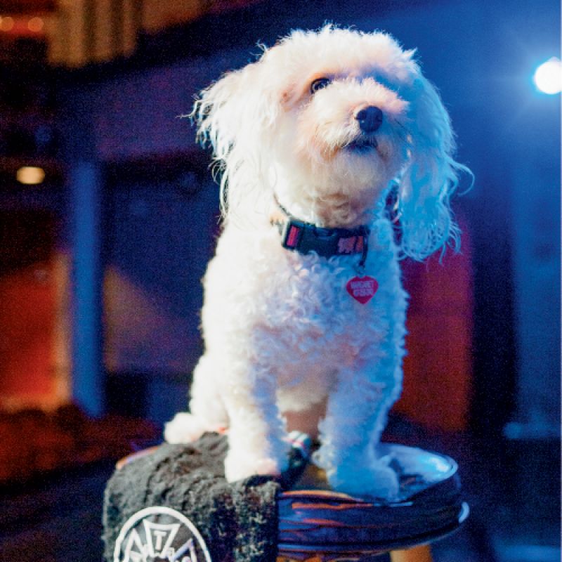 Musical Rescues