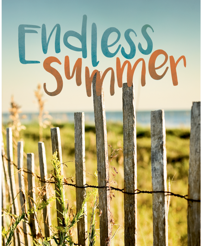 Summer Guide 2016 cover