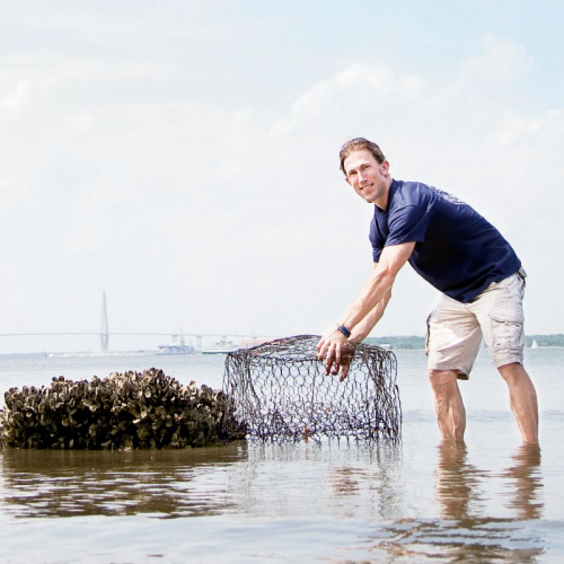 Turning the Tides