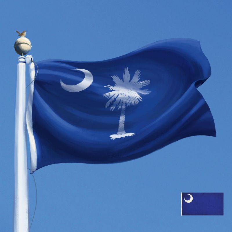 Palmetto Flag