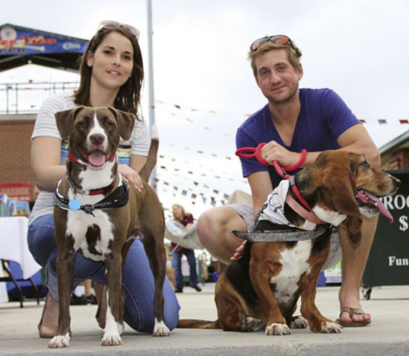 Nonprofit of the Year, Pet Helpers
