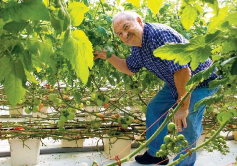 Vine Dining