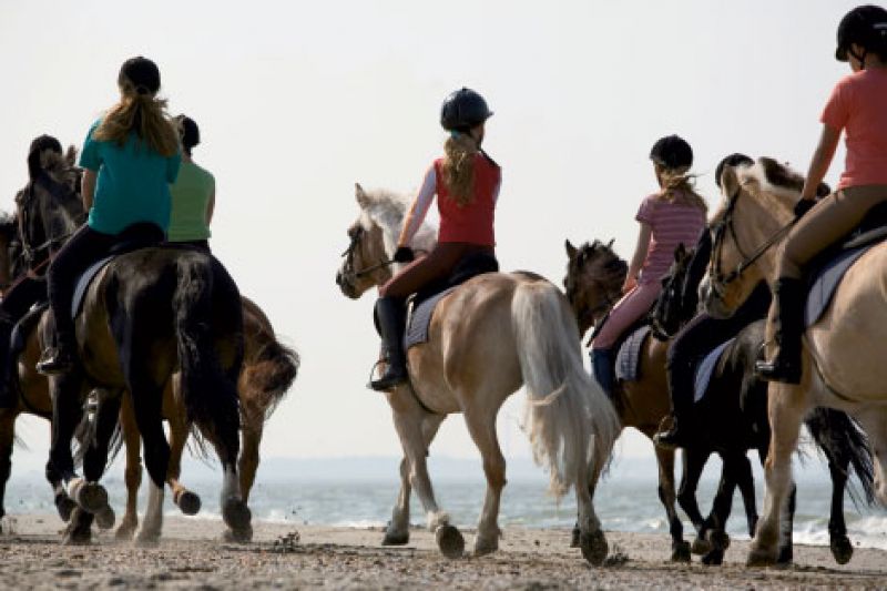 Saddle Up!
