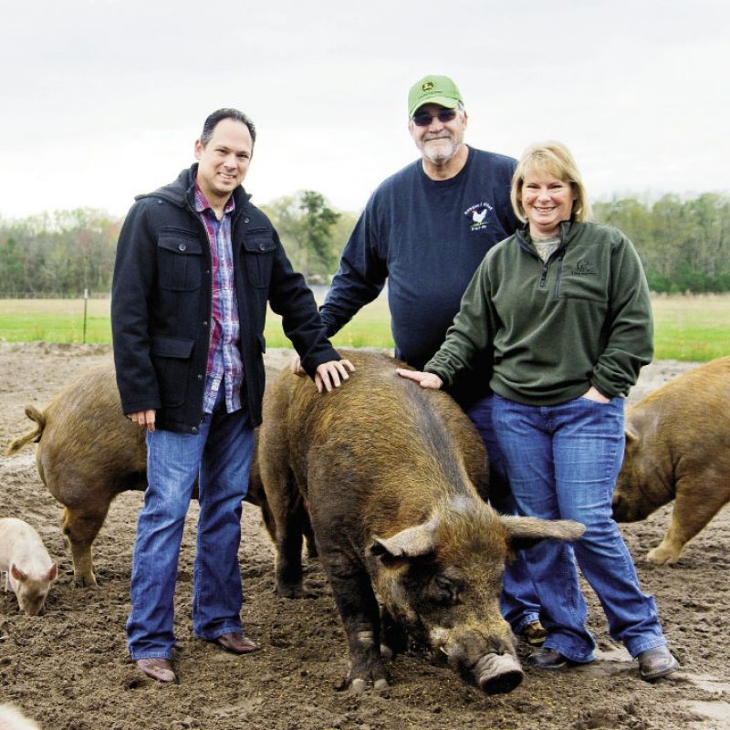 Hog Heaven