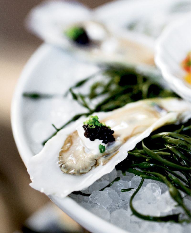 Oysters/On the Half Shell: The Ordinary