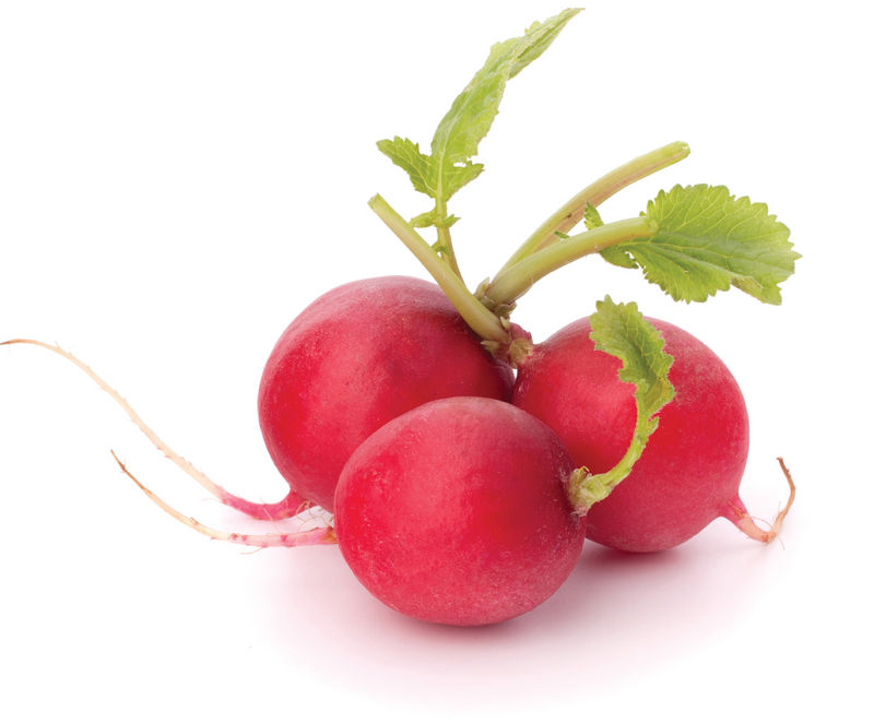 Hot Reds