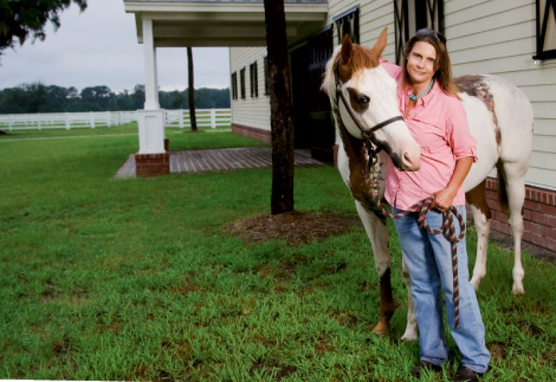 A Noble “Steed”
