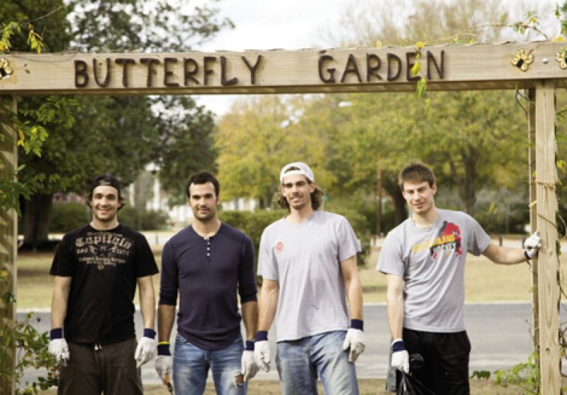 All-Star Gardeners