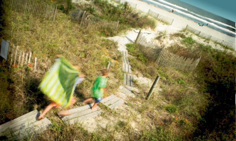 A Lowcountry Survival Guide