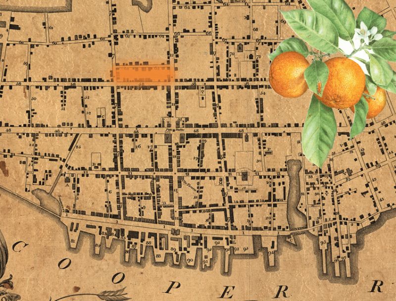 Citrus Notes