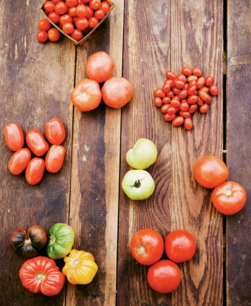 Tomato Glossary
