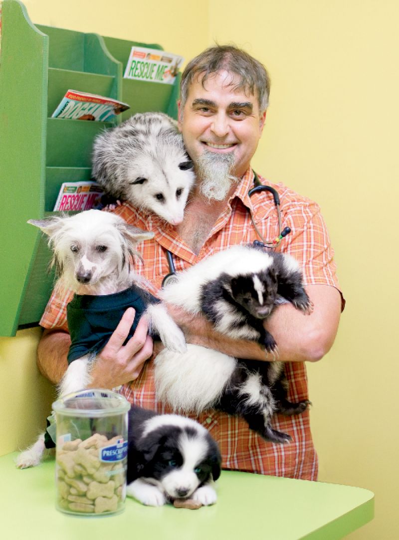 Animal King