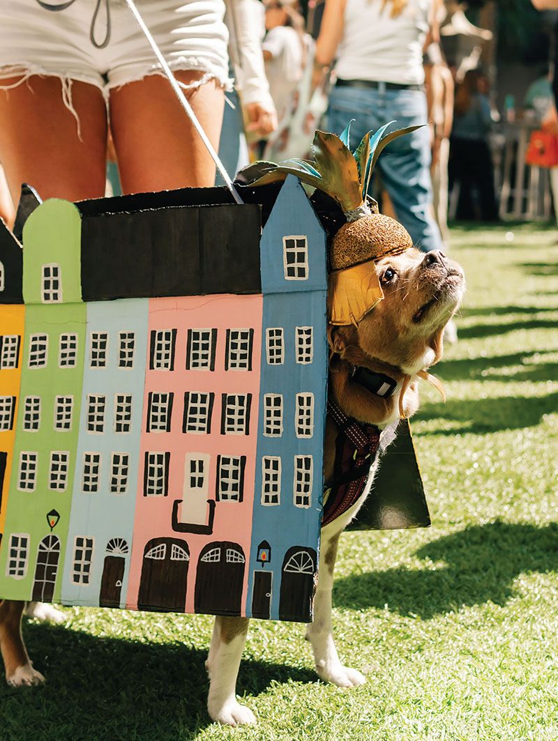 Halloween Events in the Lowcountry