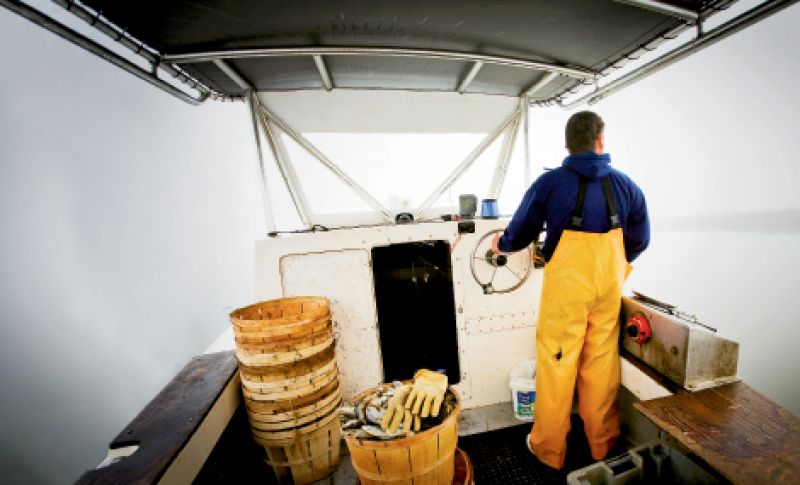The Watermen