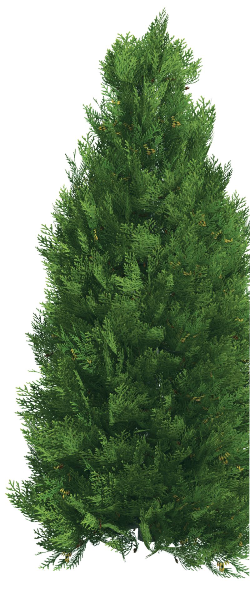 Gardening: December 2016
