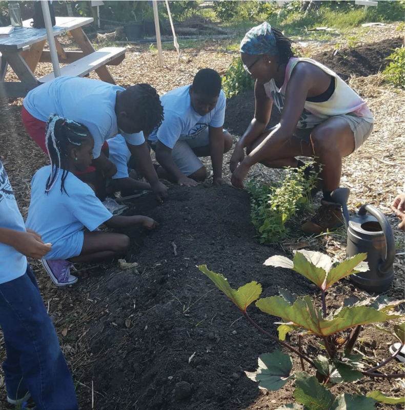 School kids come to Fresh Future Farm to get their hands dirty...
