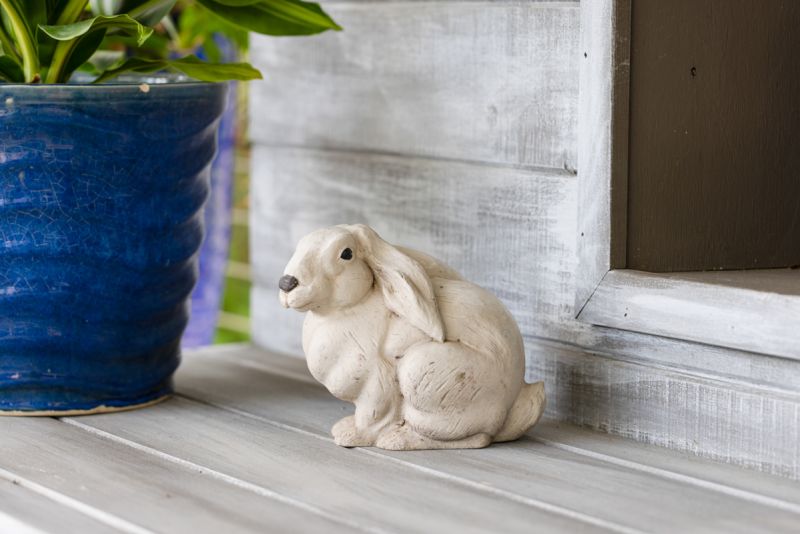Bunny's Garden