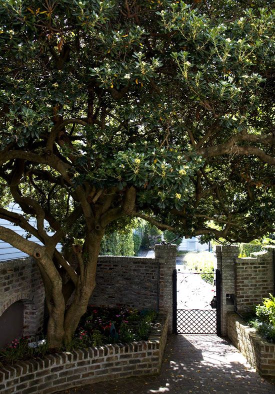 Charleston Home