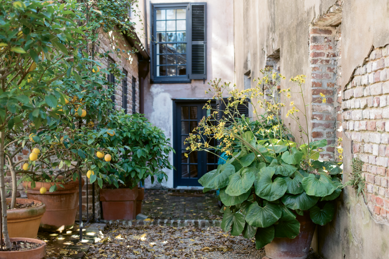 HAVE YOUR GARDEN & EAT IT, TOO: The courtyard garden features citrus trees, such as lemon and tangerine, as well as beehives that yield some 70 pounds of honey per year.