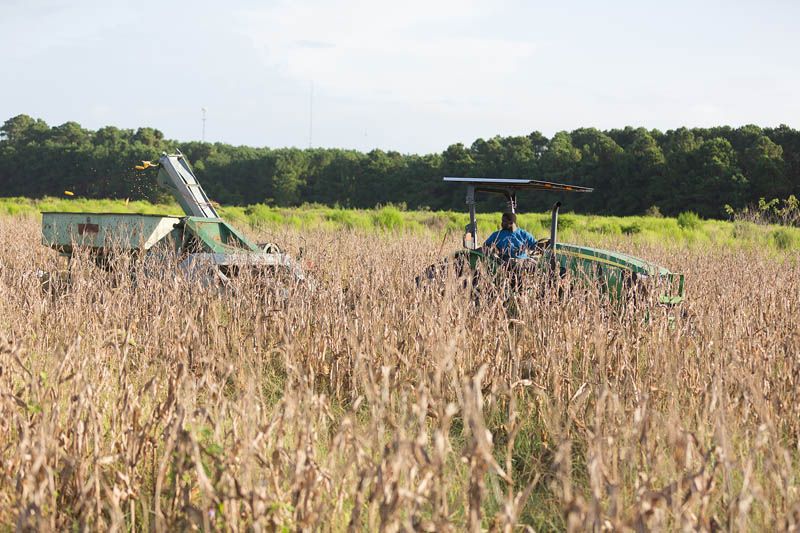 Harvest Home
