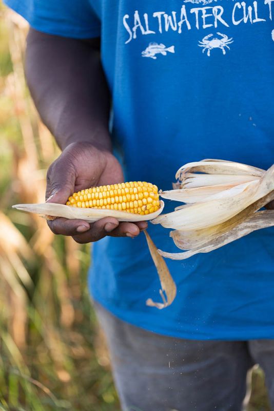 Harvest Home