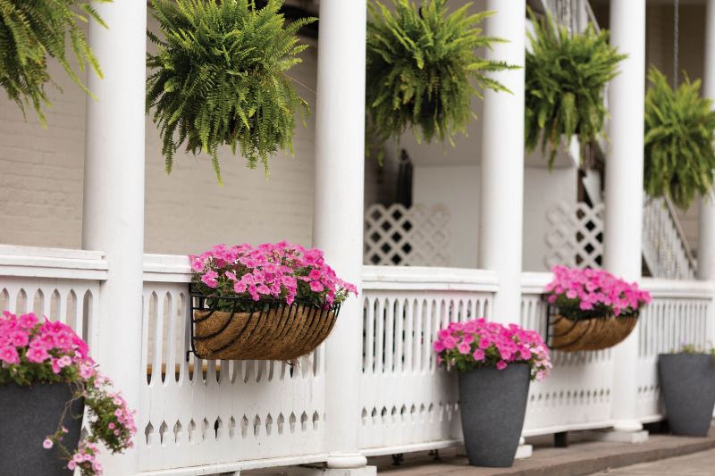 Potted flowers and ferns decorate the Montreux Bar & Grill on West Richardson Avenue.