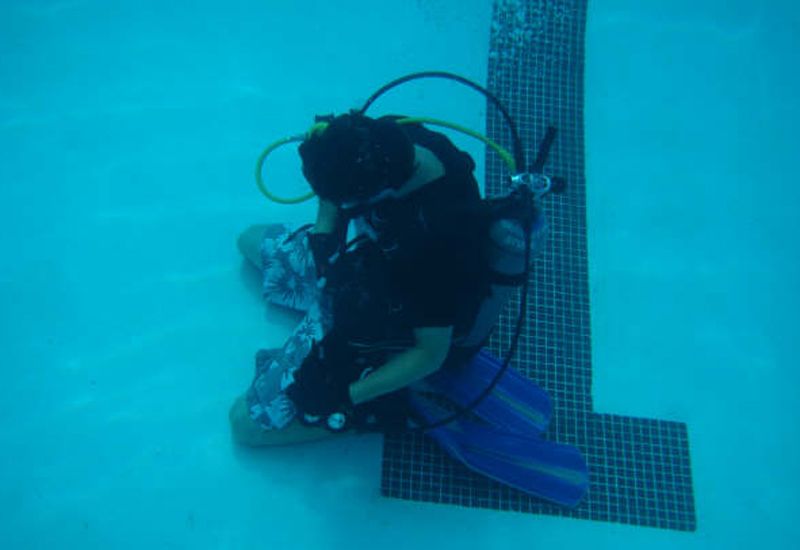 Family Matters - Dive In!