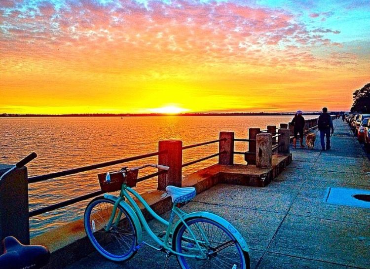 HONORABLE MENTION Amateur category: Battery Sunset by Emily Deal; “I took this photograph (with my iPhone) on January 29, 2015 at the Battery around 5:45 p.m. My roommate and I stopped our bike ride to admire the beautiful sunset. We enjoy taking bike rides to the Battery, even during cold weather, because Charleston's historic architecture never gets old! The Battery is the perfect setting to watch the sunset. You never see the same sunset twice, so I'm glad I captured this particular one.”
