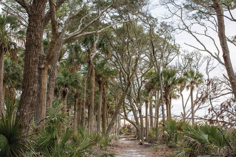 Hunting Island State Park
