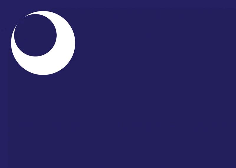 Flag of Fort Moultrie