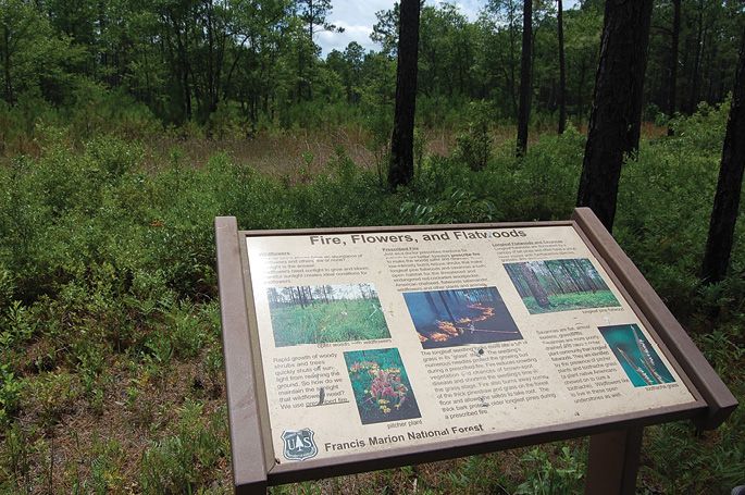 Amazing Places To Enjoy Springtime Around The Lowcountry
