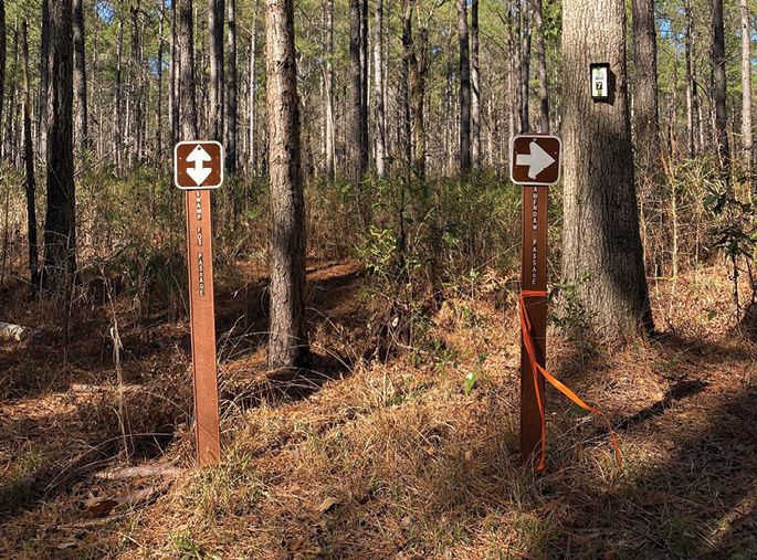 Amazing Places To Enjoy Springtime Around The Lowcountry