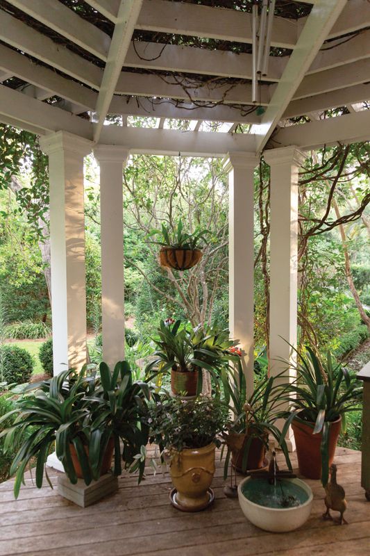 DOORWAYS & DESTINATIONS: A collection of clivias on the porch bloom in shades of orange and yellow during the spring.