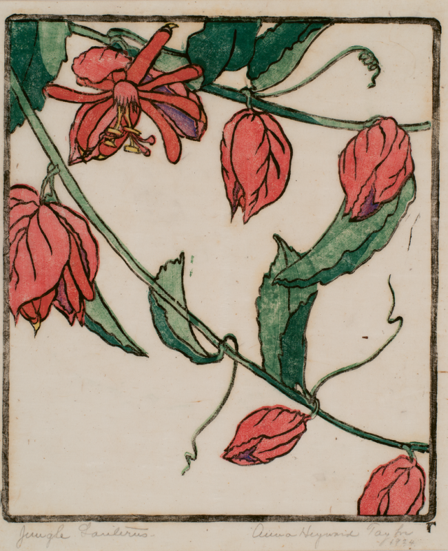 Eight years after her first expedition to British Guiana, Taylor created Jungle Lanterns, a woodblock print based on her scientific illustration in the field