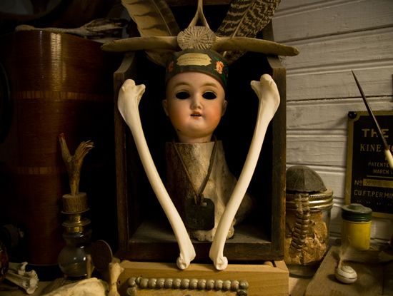 Artist Profile: Bone Structure