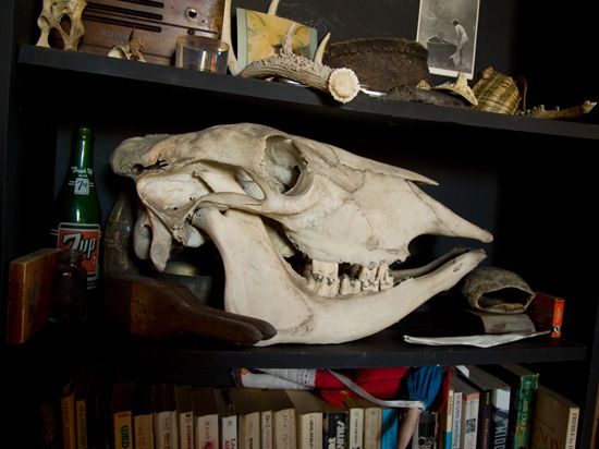 Artist Profile: Bone Structure
