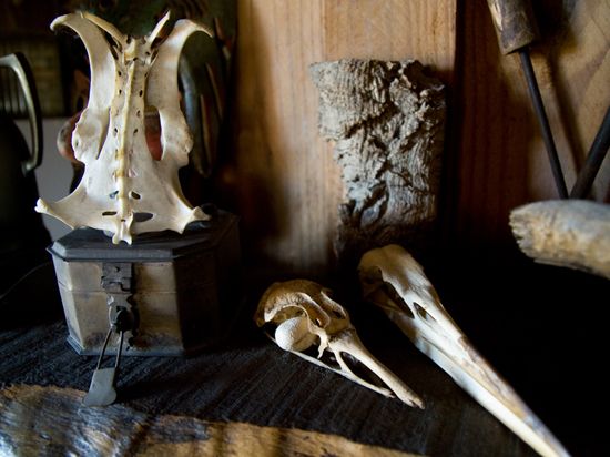 Artist Profile: Bone Structure
