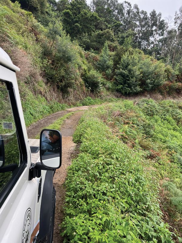 A Taste of Madeira