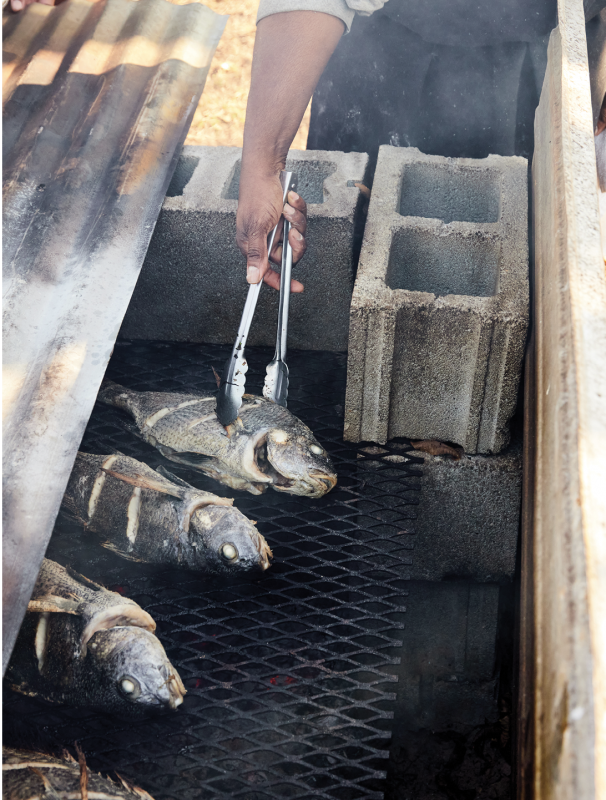 Flipping black bass on the cinder-block oven in preparation for the family supper.