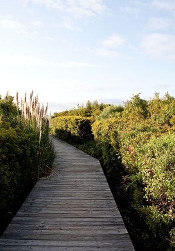 Sullivan's Island