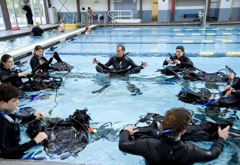 Family Matters - Dive In!