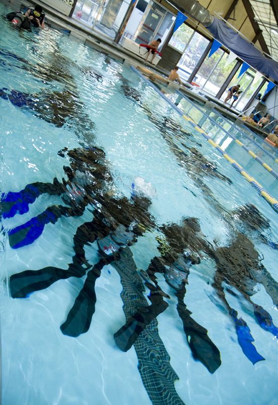 Family Matters - Dive In!